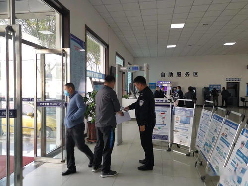 标宝北京车牌代办全流程解析：老司机教你避开这7大坑